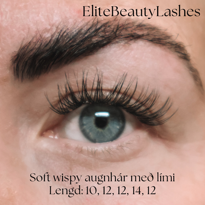 Soft wispy augnhár með lími